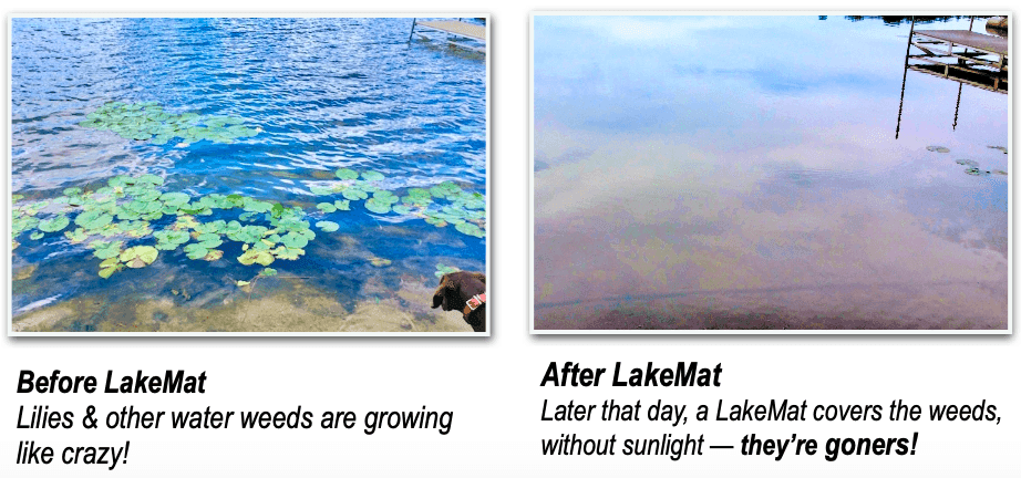 Before-after-lakemat.png