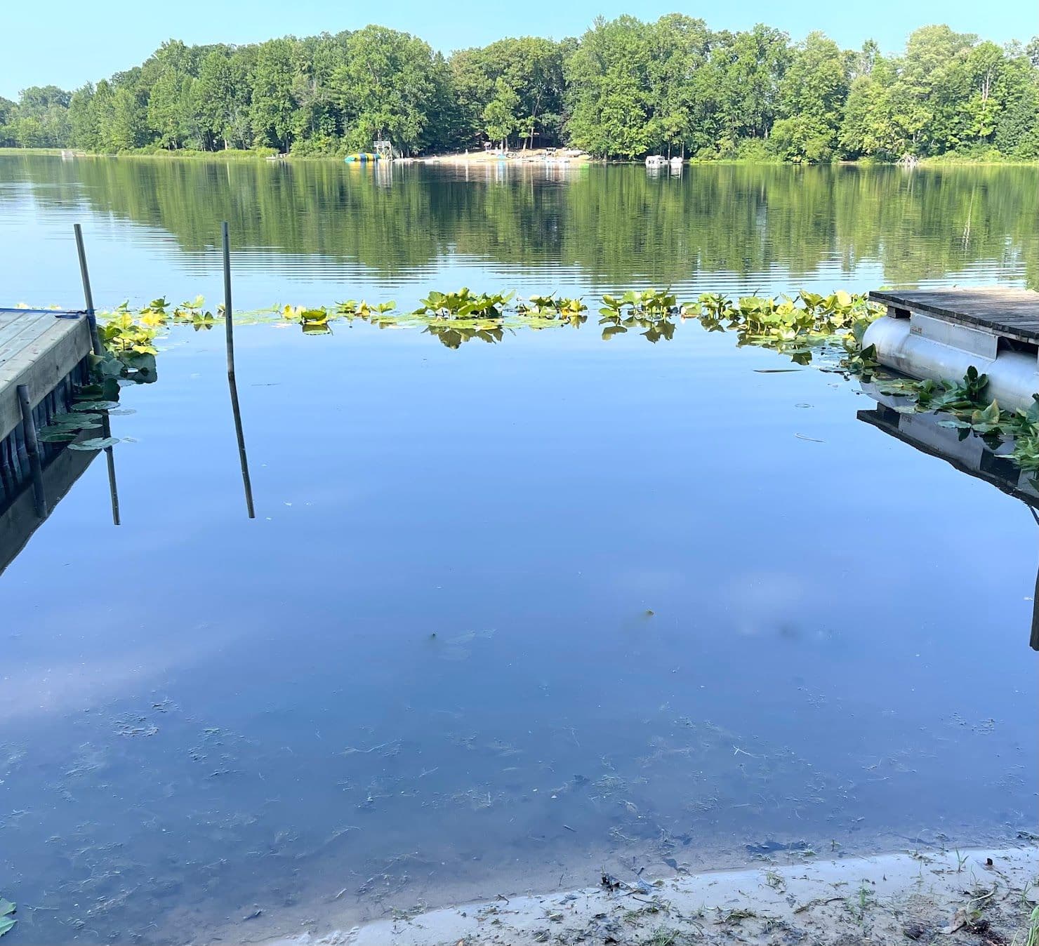MuckMat kills off all weeds