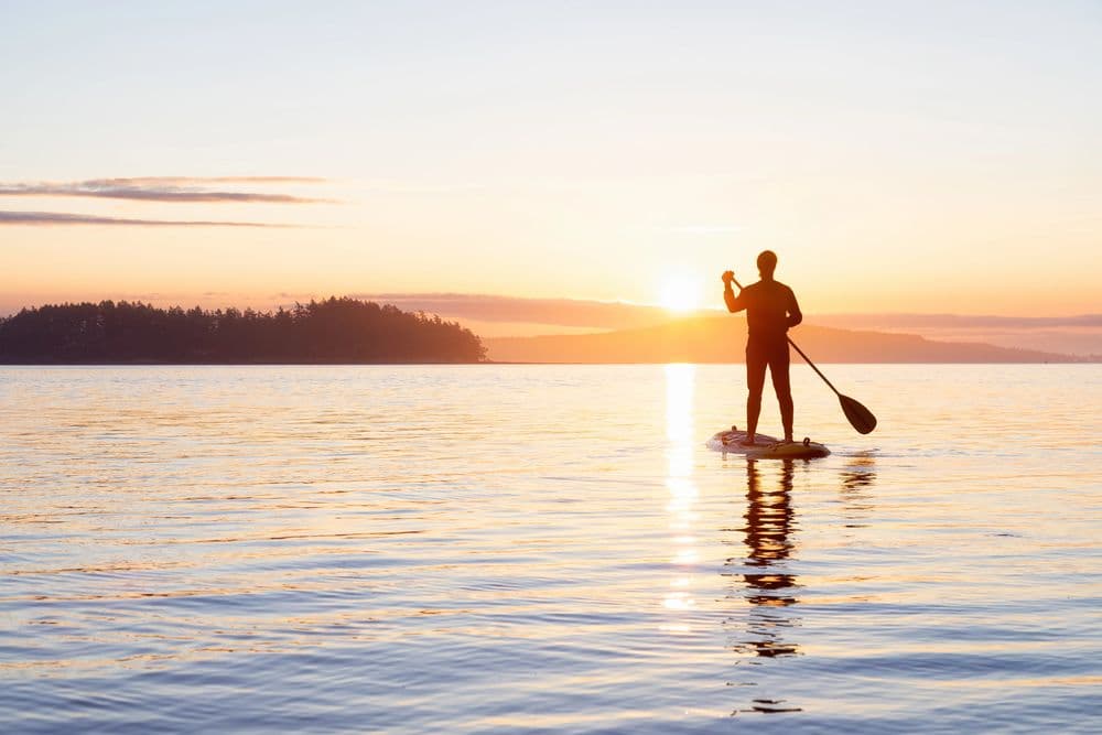 Can handle Paddle Board launches in mucky areas too