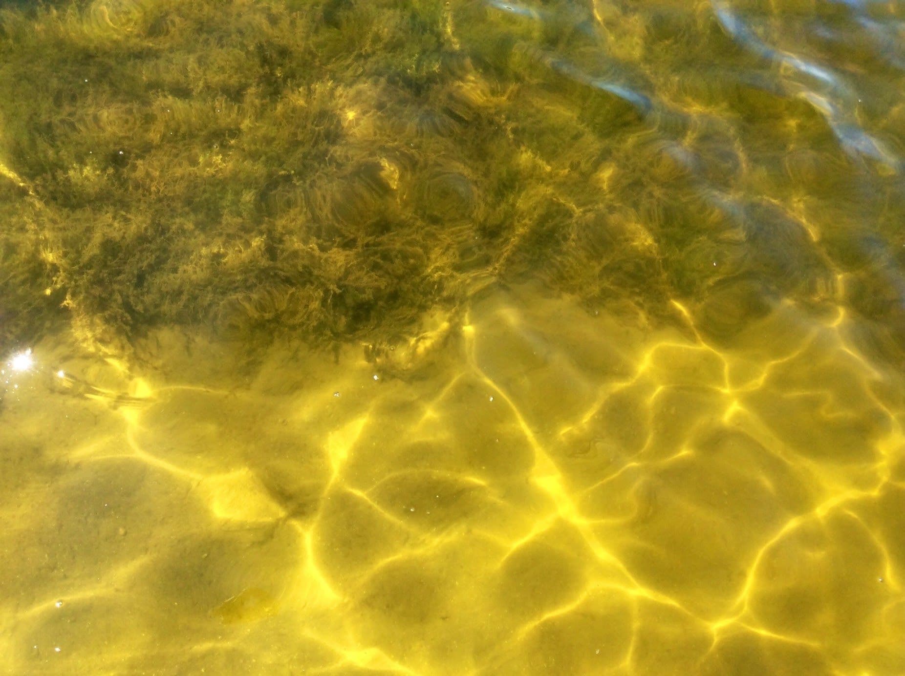 LakeMat controls weeds in lakes effectively