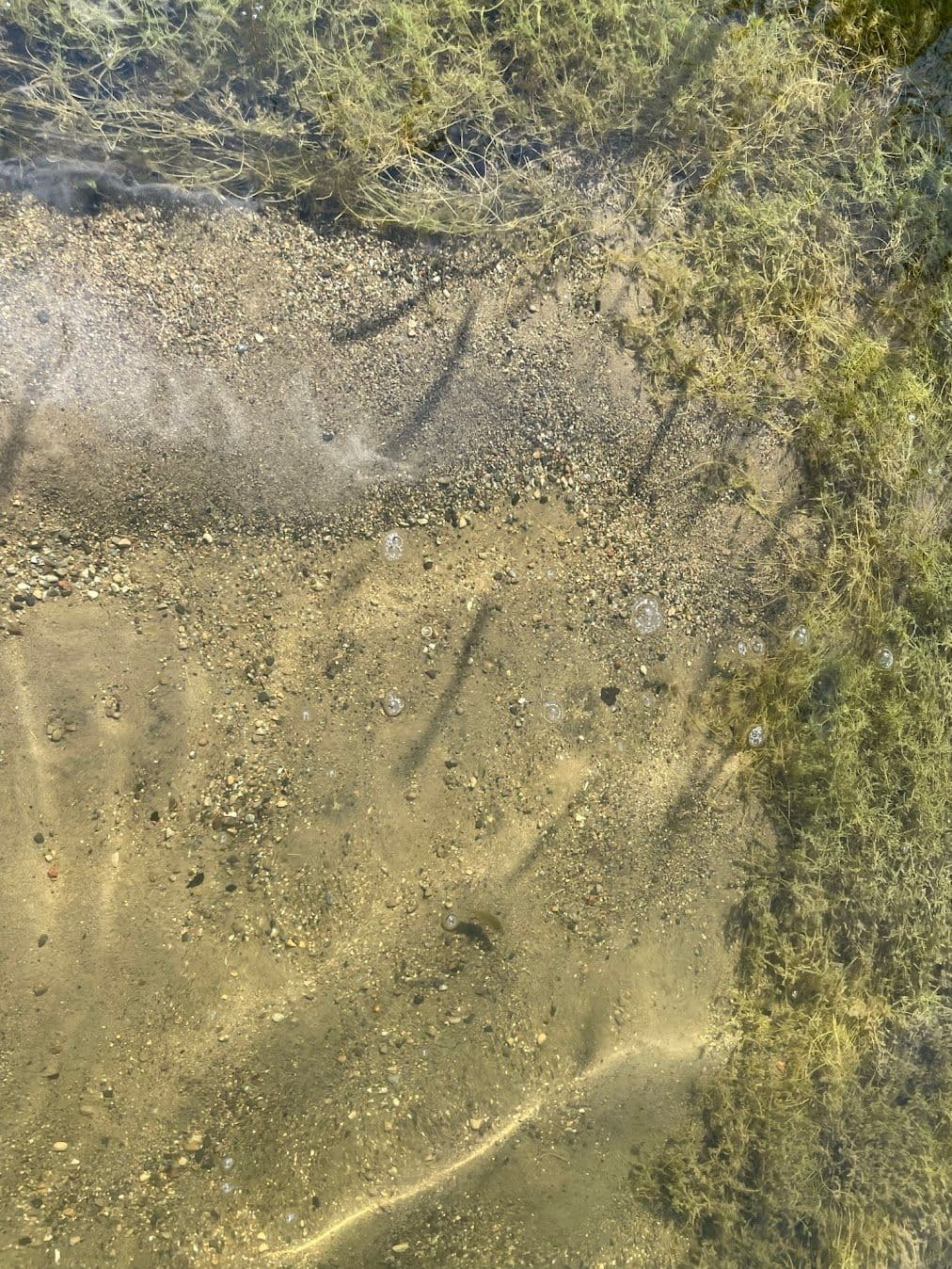 Sand over the MuckMat to kill off weeds and make a sandy beach on lake